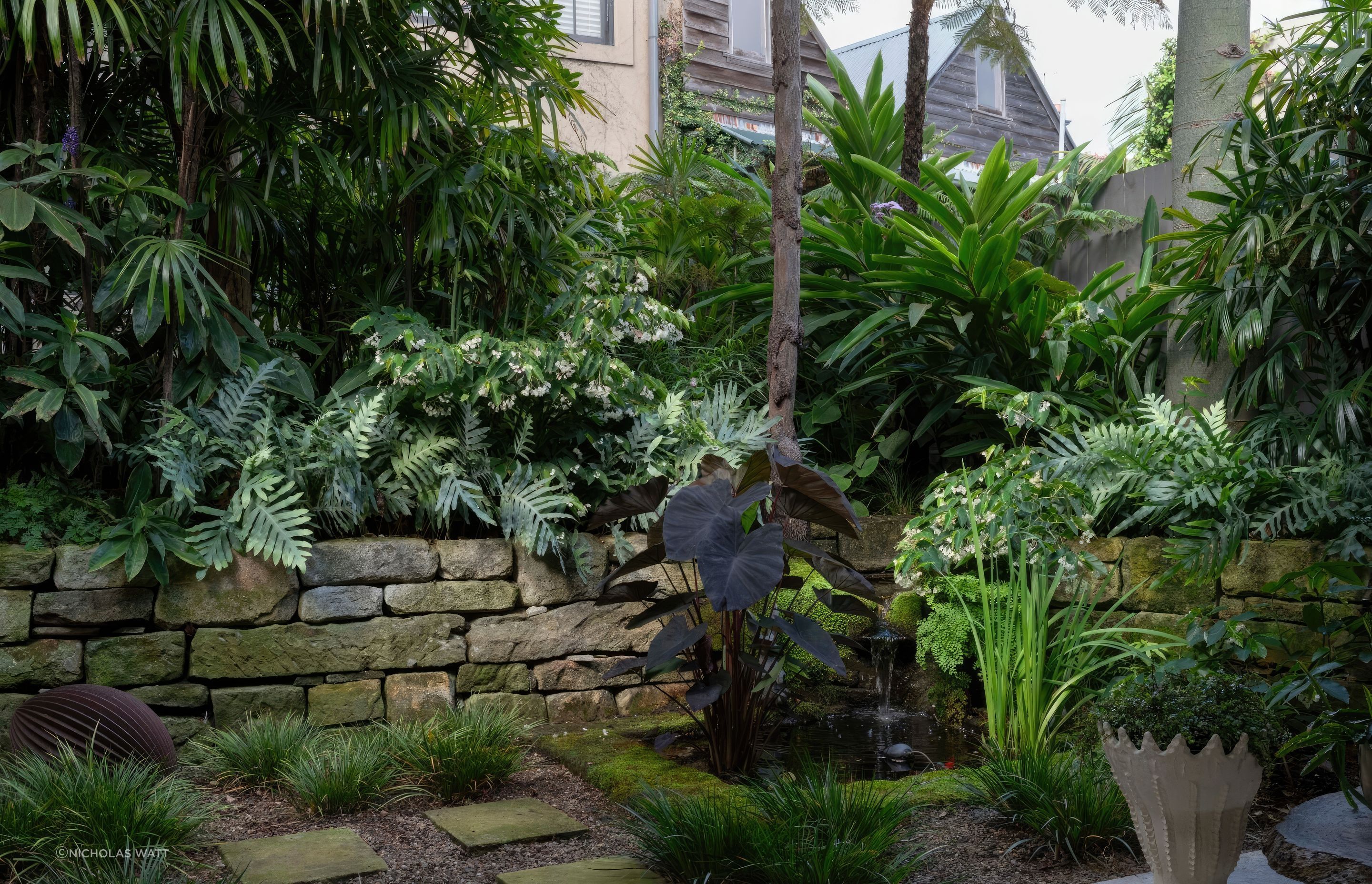 ScaledGarden-LifeDesignProjectSubtropical106-scaled-standard-scale-200x.jpg