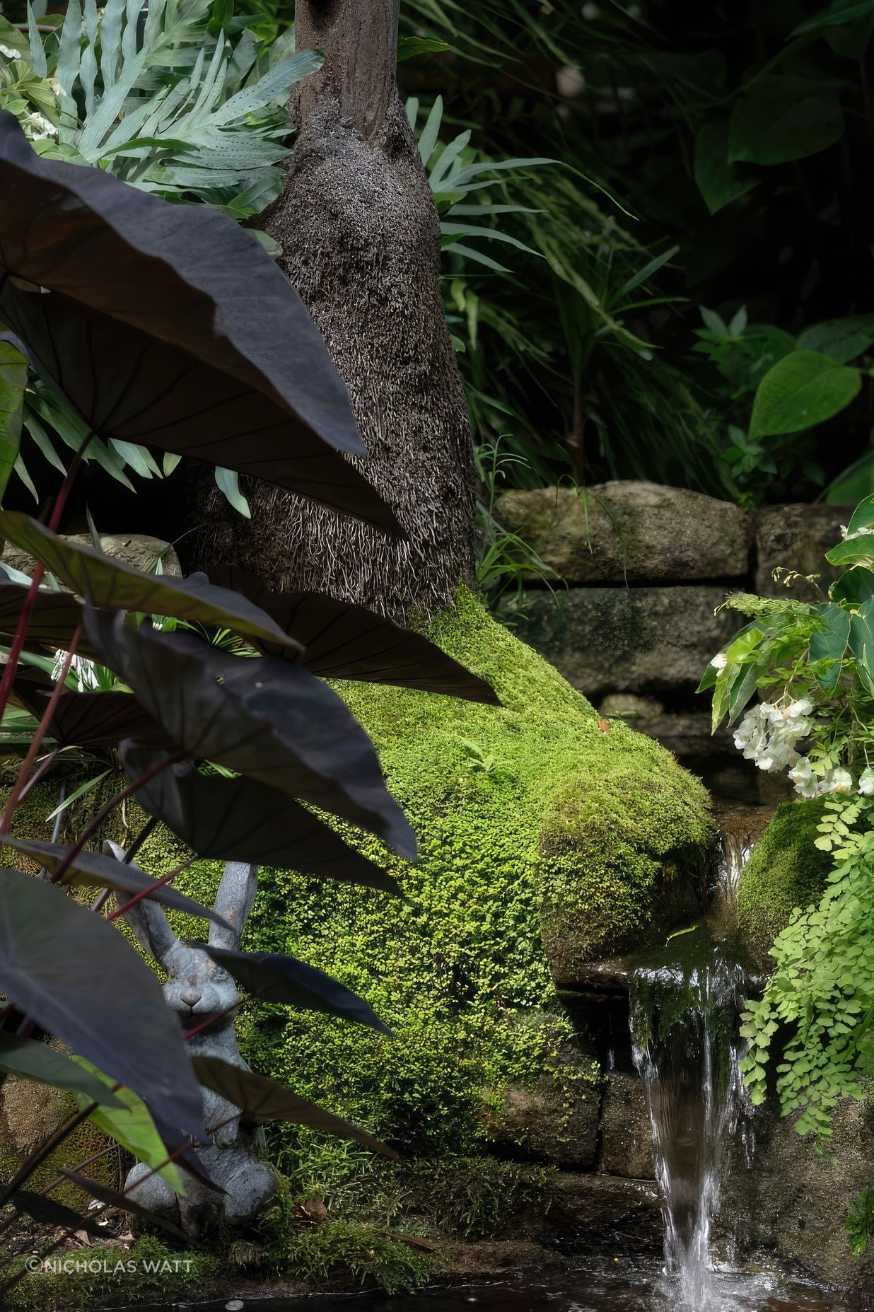ScaledGarden-LifeDesignProjectSubtropical282-818x1020-standard-scale-200x.jpg