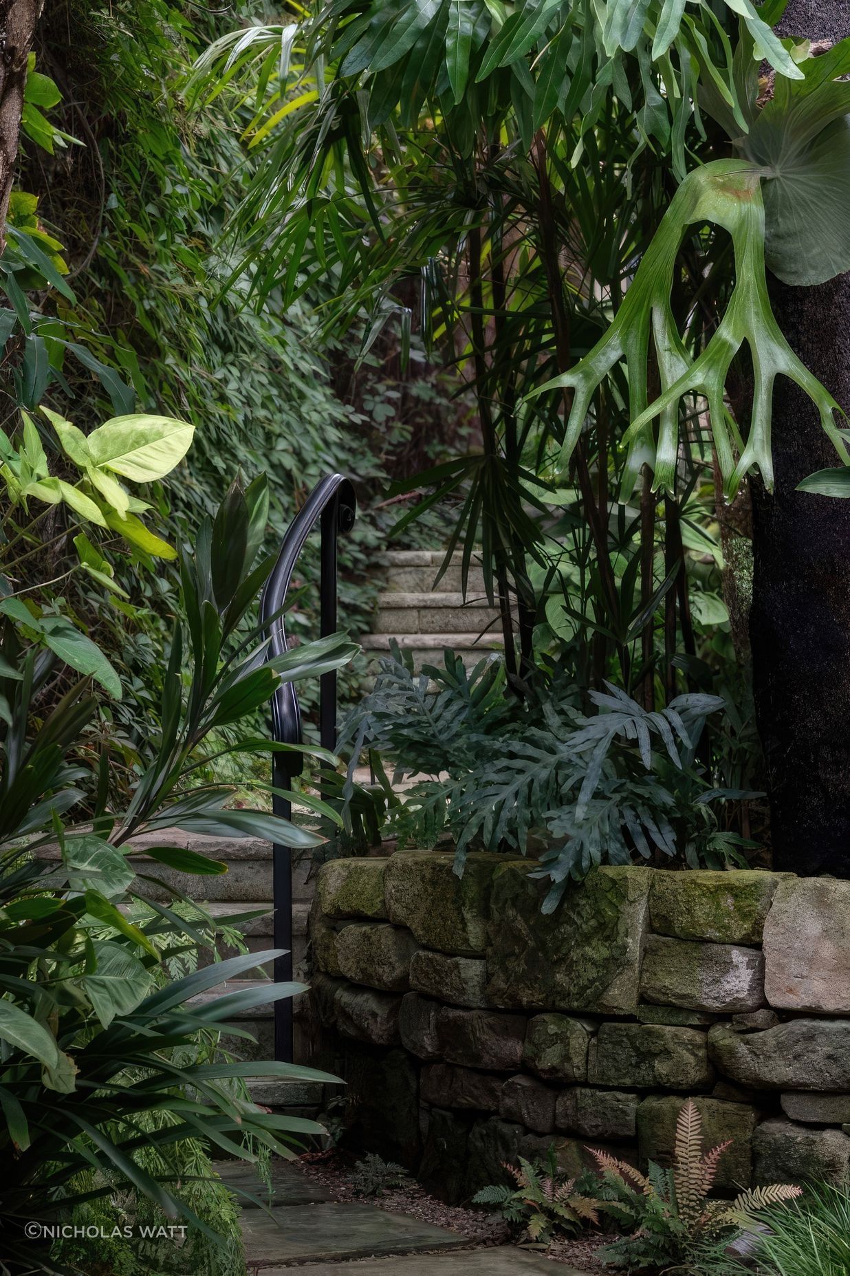ScaledGarden-LifeDesignProjectSubtropical340-818x1020-standard-scale-200x.jpg