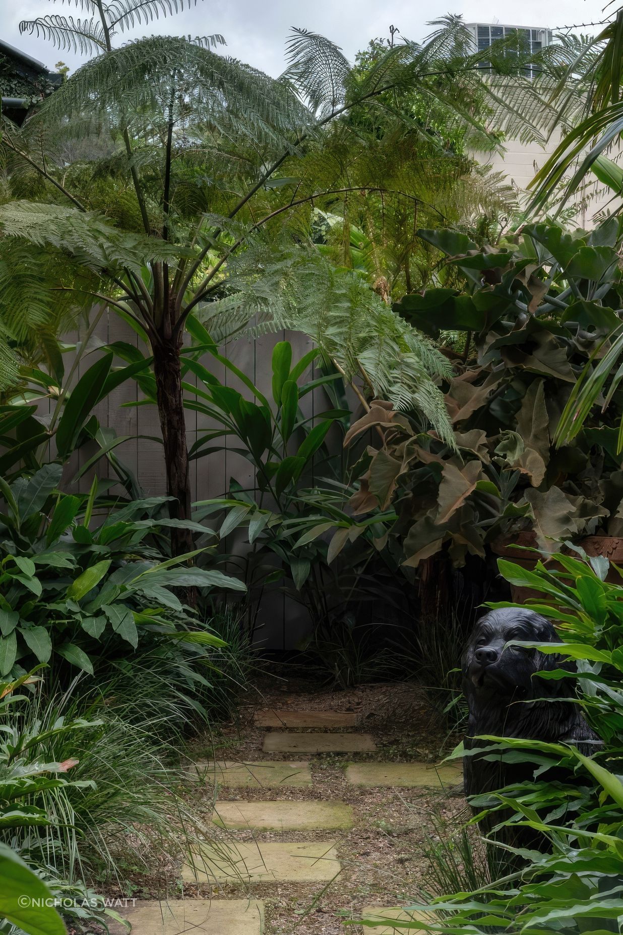 ScaledGarden-LifeDesignProjectSubtropical361-818x1020-standard-scale-200x.jpg