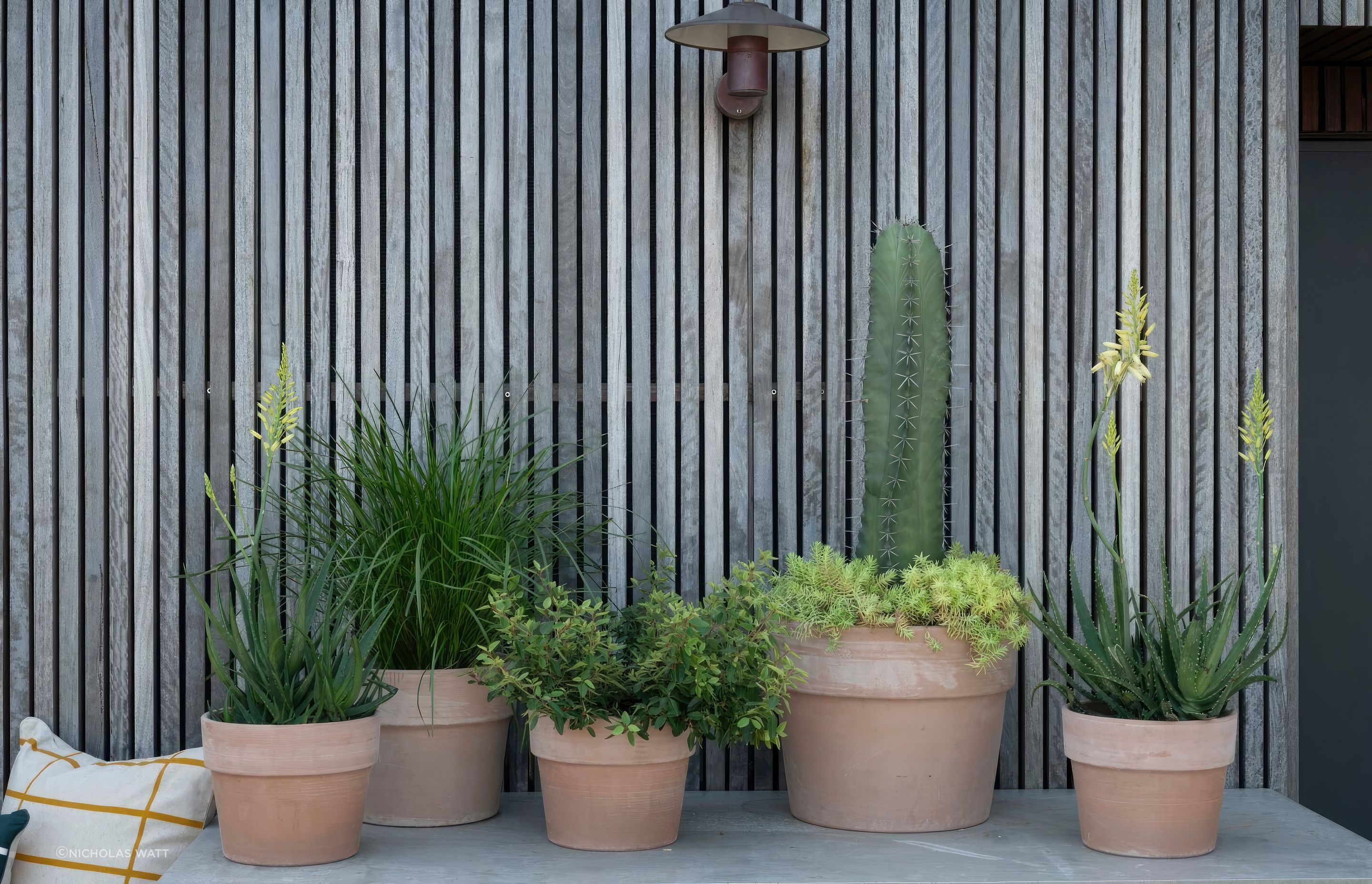 ScaledGarden-LifeDesignRooftop-Retreat5-1695x1020-standard-scale-200x.jpeg