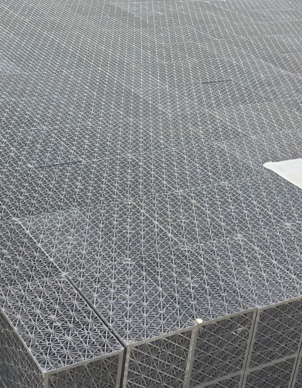 ScaledPicture1-standard-scale-600x.jpg
