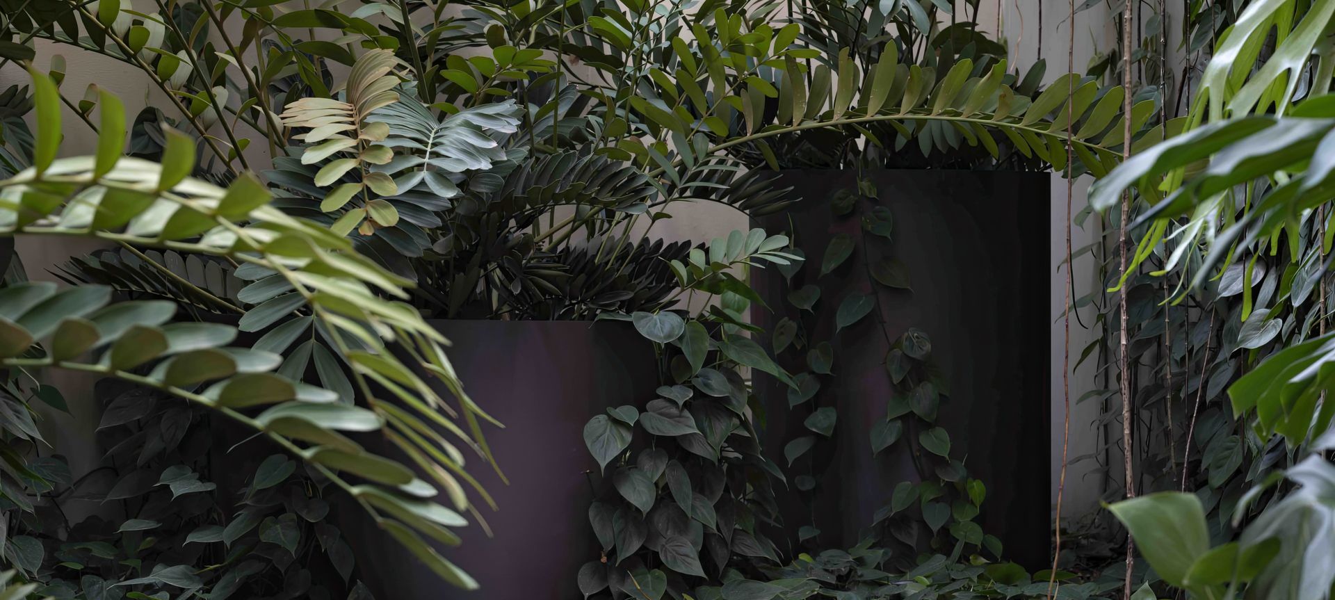 Urban Jungle banner