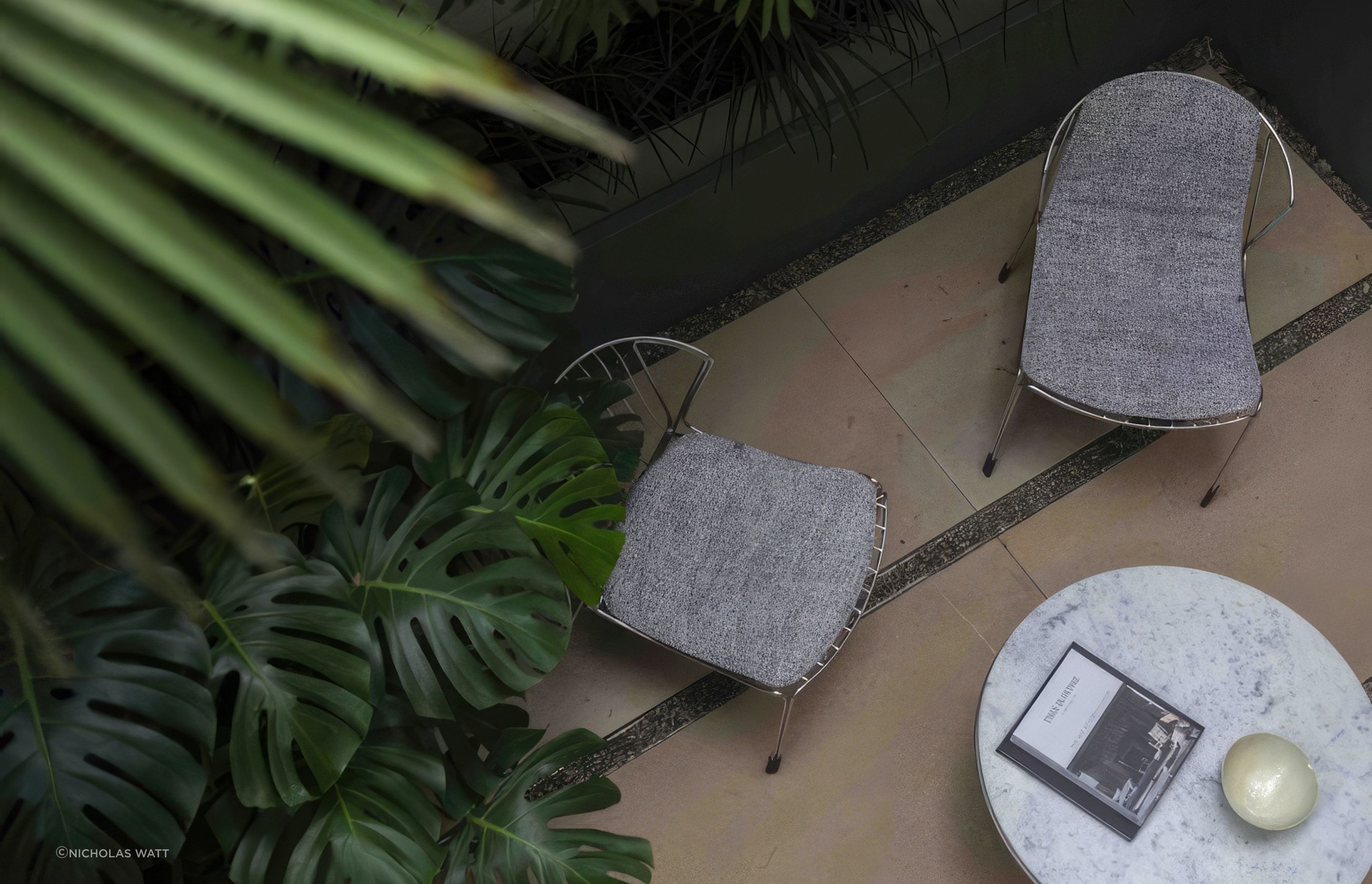 ScaledUrban-Jungle3-scaled-818x573-standard-scale-200x.jpeg