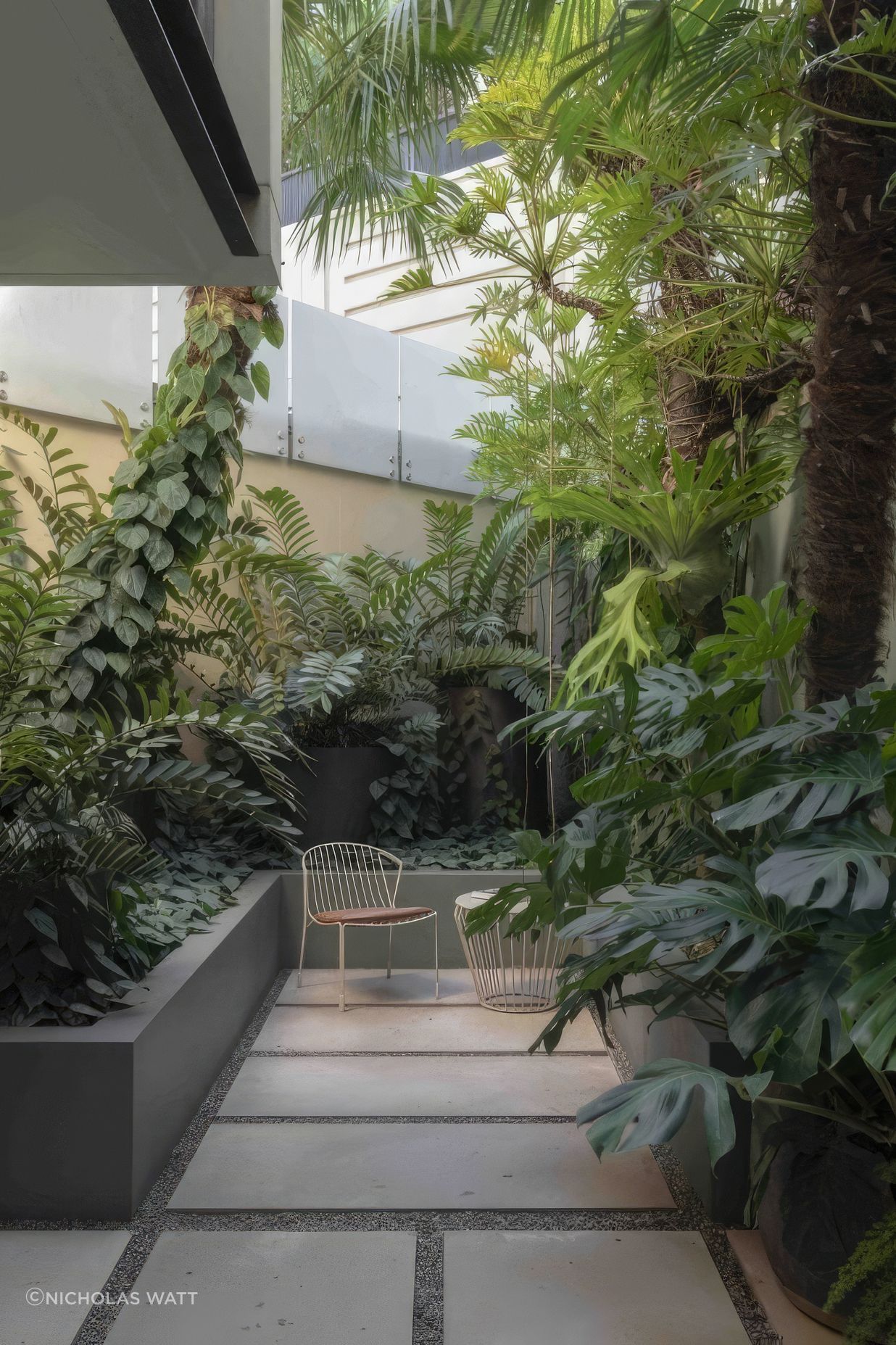 ScaledUrban-Jungle4-scaled-818x1020-standard-scale-200x.jpeg