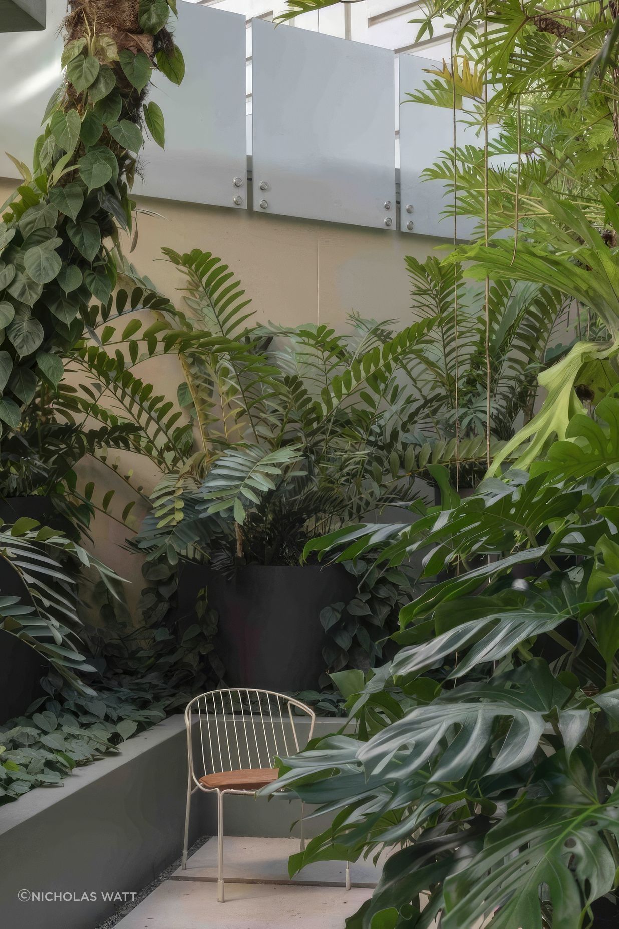 ScaledUrban-Jungle5-scaled-818x1020-standard-scale-200x.jpeg