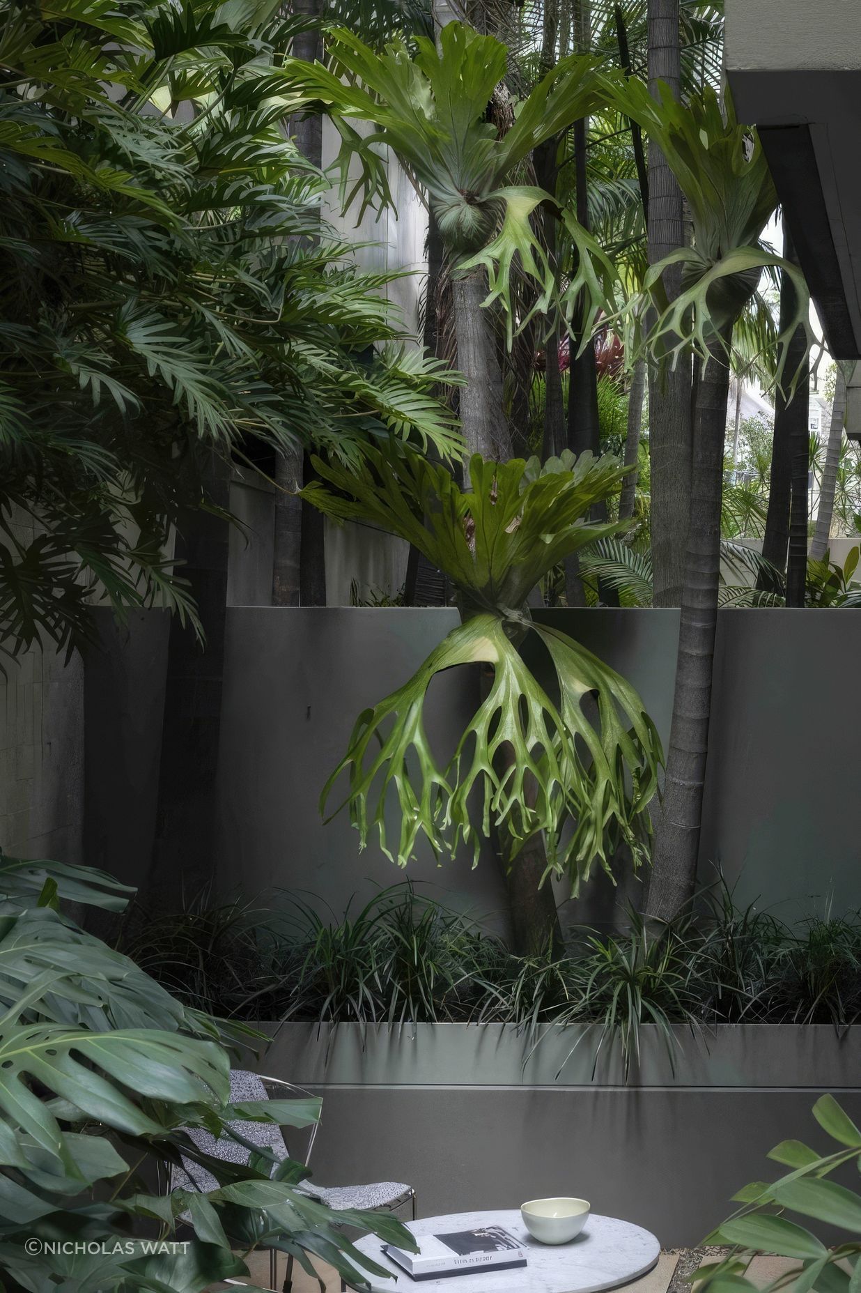 ScaledUrban-Jungle6-scaled-818x1020-standard-scale-200x.jpeg