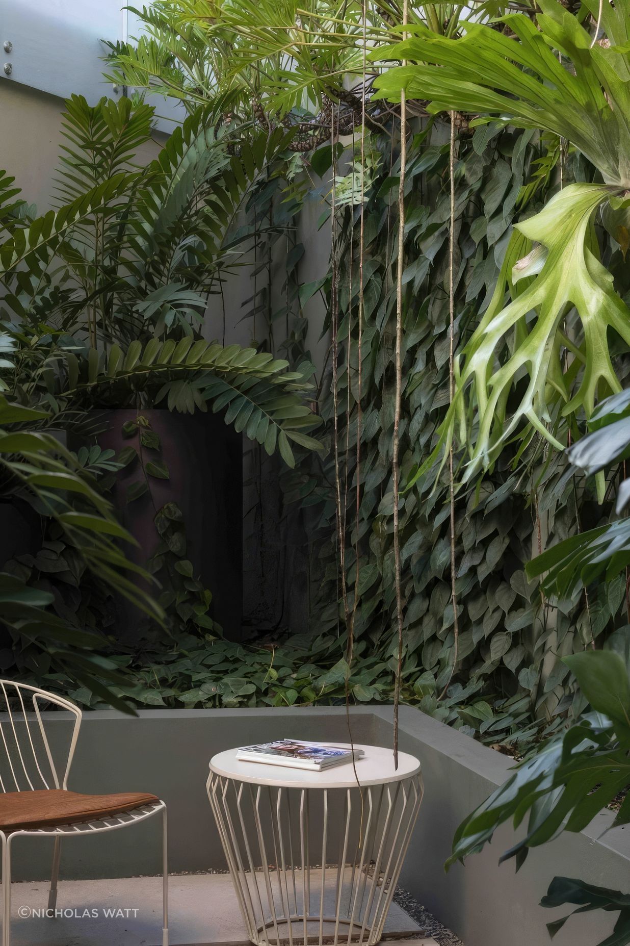 ScaledUrban-Jungle7-scaled-818x1020-standard-scale-200x.jpeg