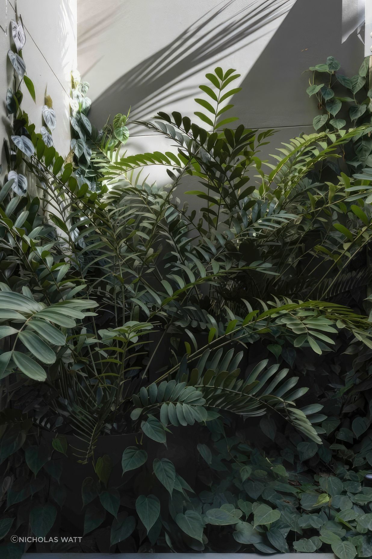 ScaledUrban-Jungle8-scaled-818x1020-standard-scale-200x.jpeg