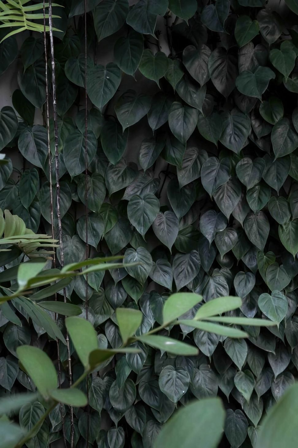 ScaledUrban-Jungle9-scaled-818x1020-art-scale-200x.jpeg