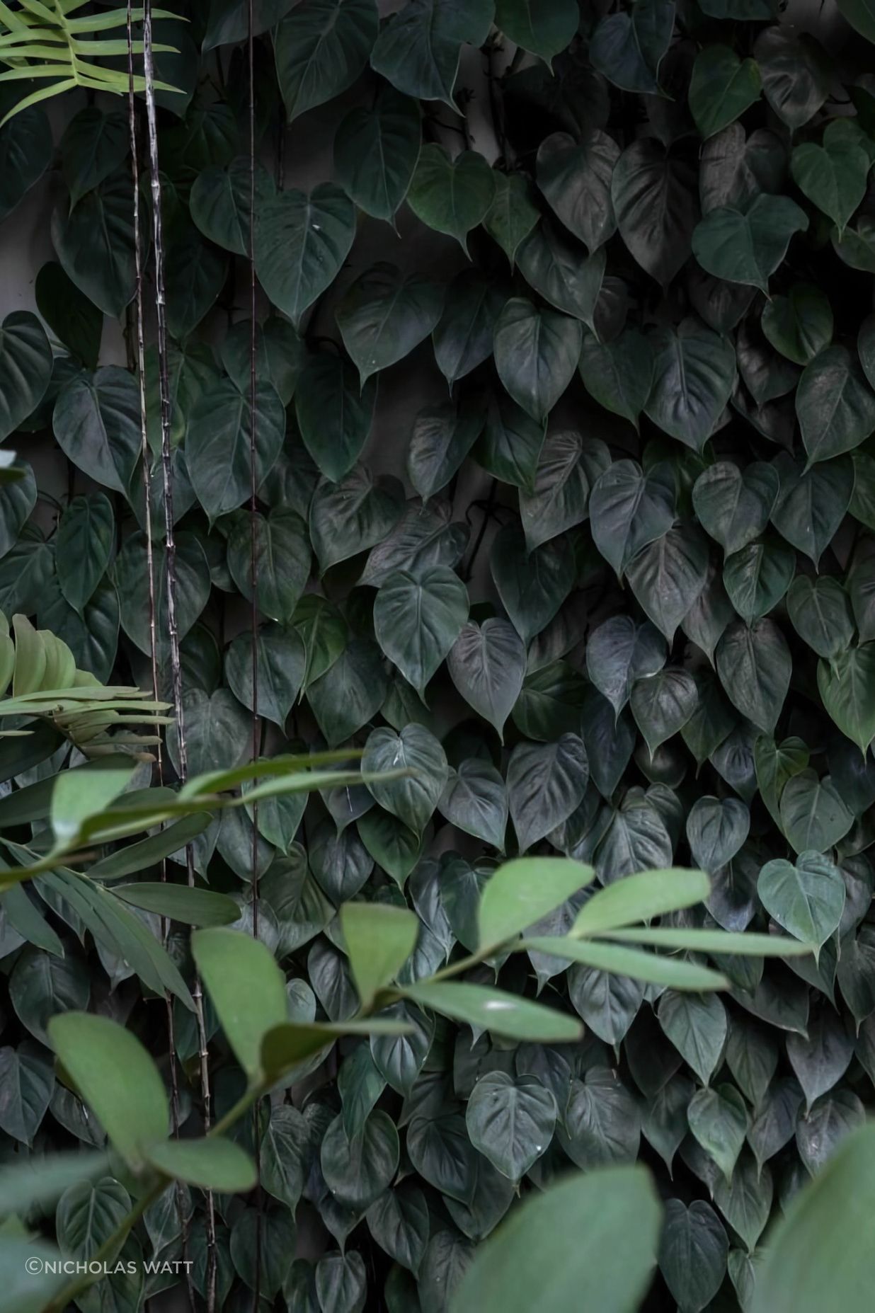 ScaledUrban-Jungle9-scaled-818x1020-art-scale-200x.jpeg