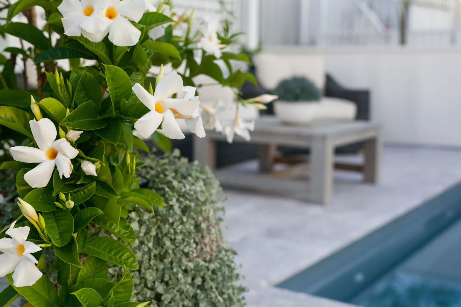 Elegant Hamptons' Oasis