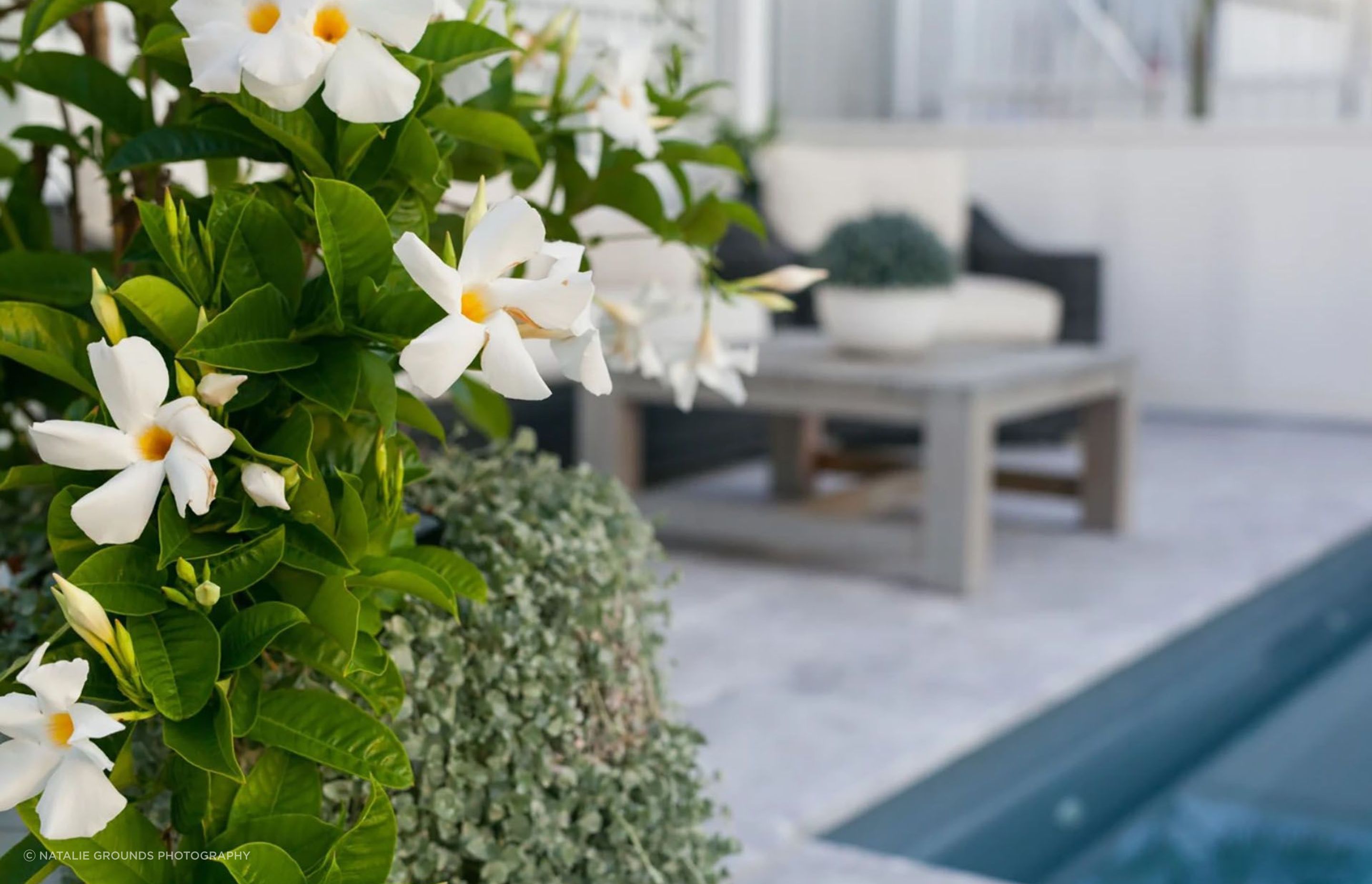 Elegant Hamptons' Oasis