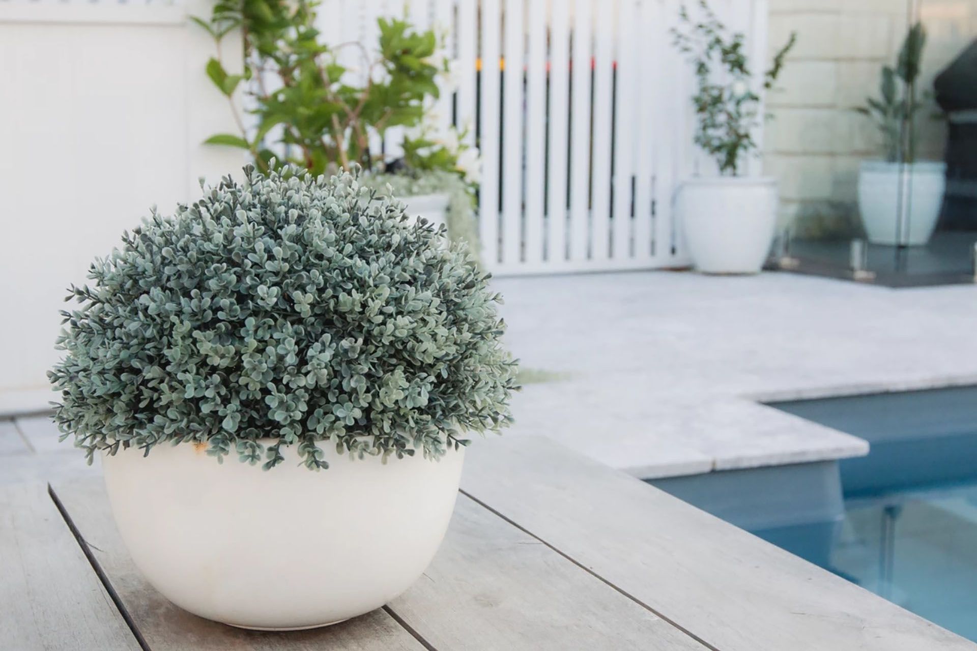 Elegant Hamptons' Oasis