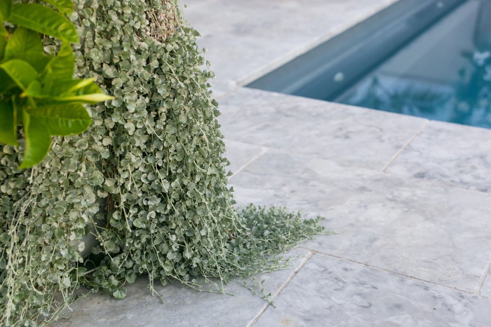 Elegant Hamptons' Oasis