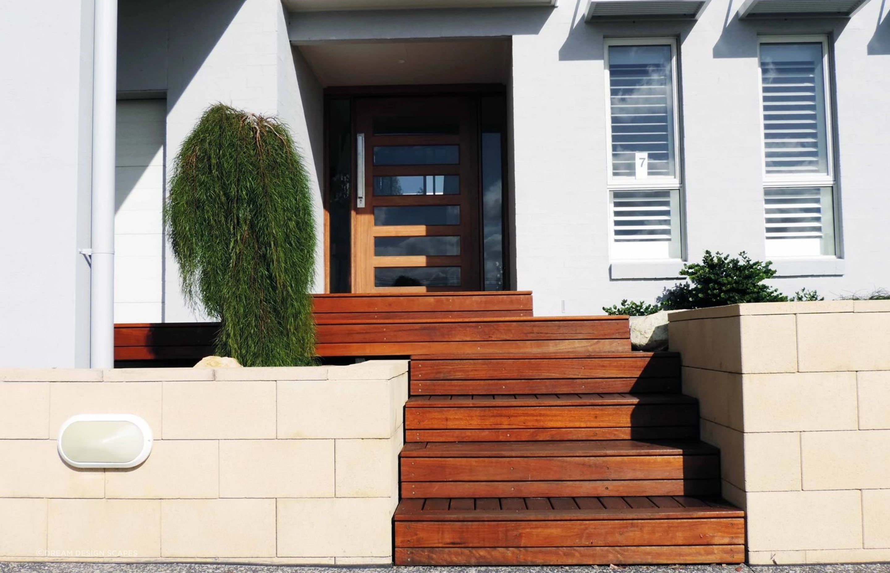 Contemporary Native Garden