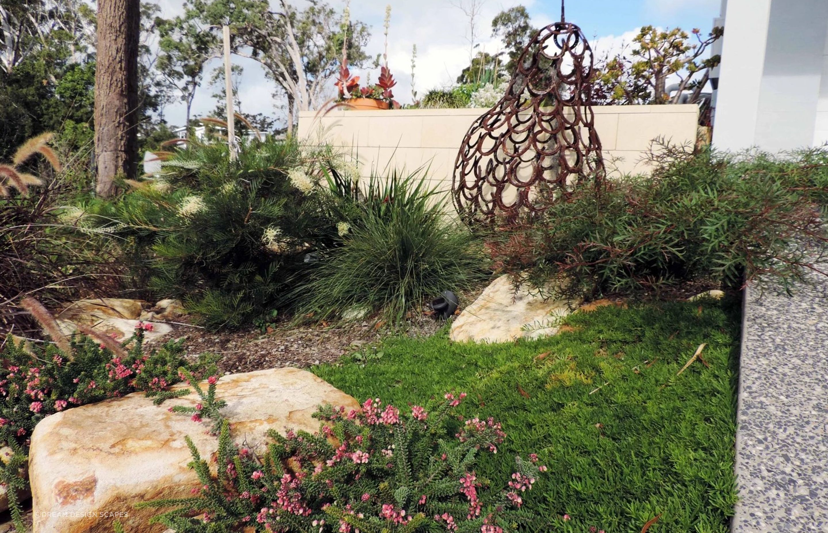 Contemporary Native Garden