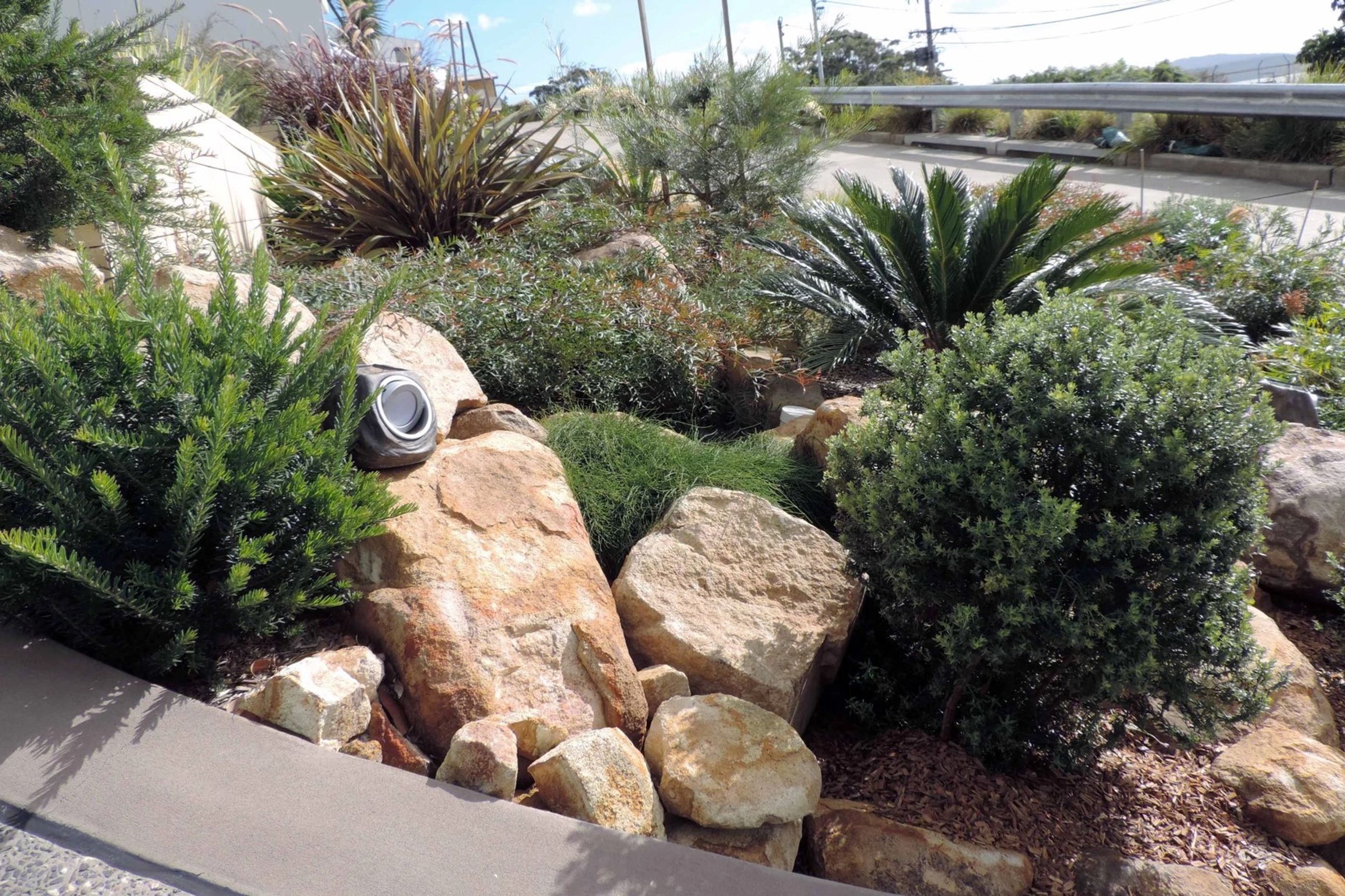 Contemporary Native Garden