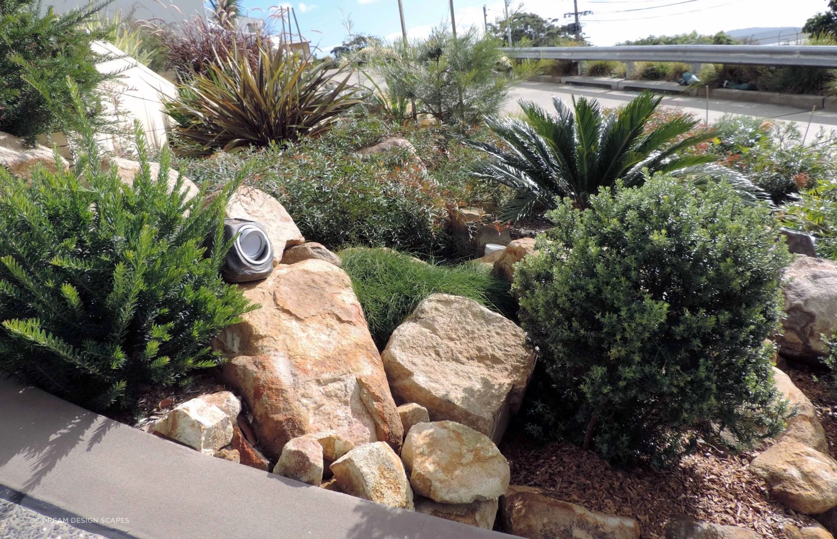 Contemporary Native Garden