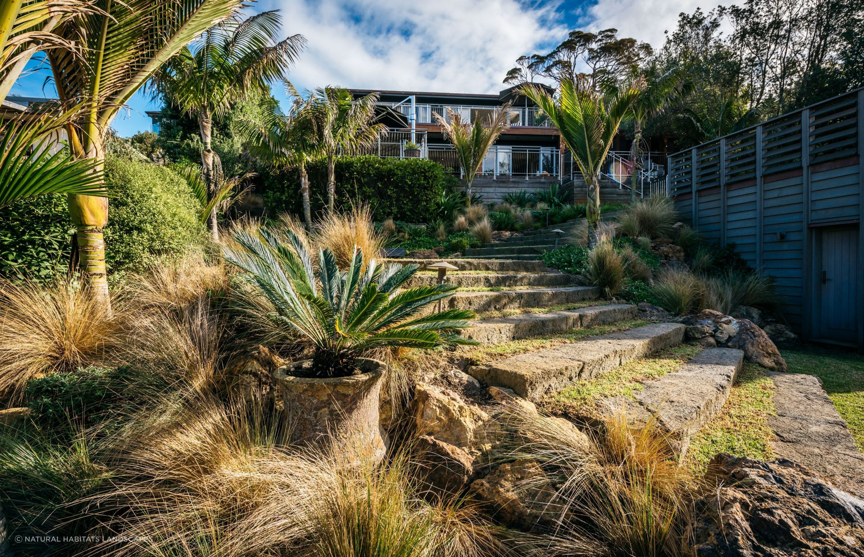 Waiheke Paradise