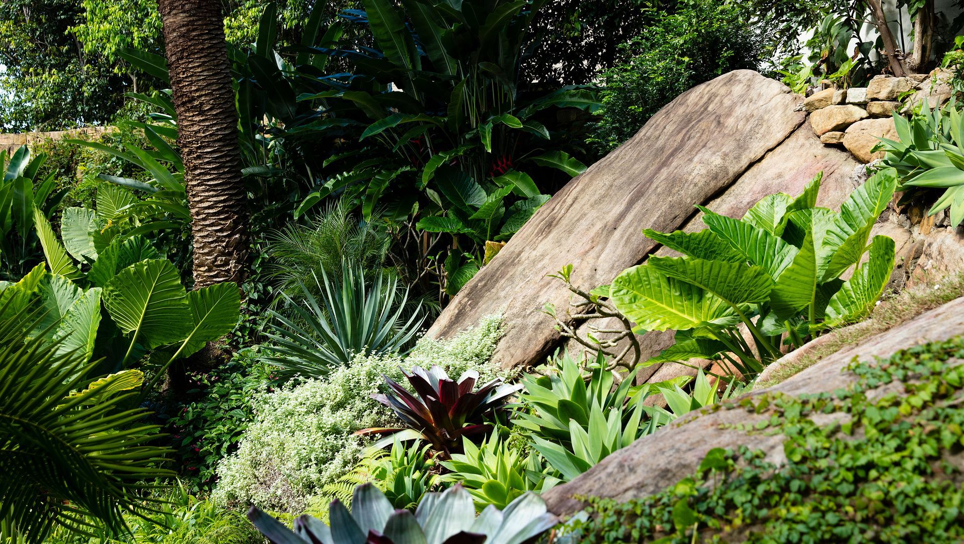 Sleeping Beauty banner