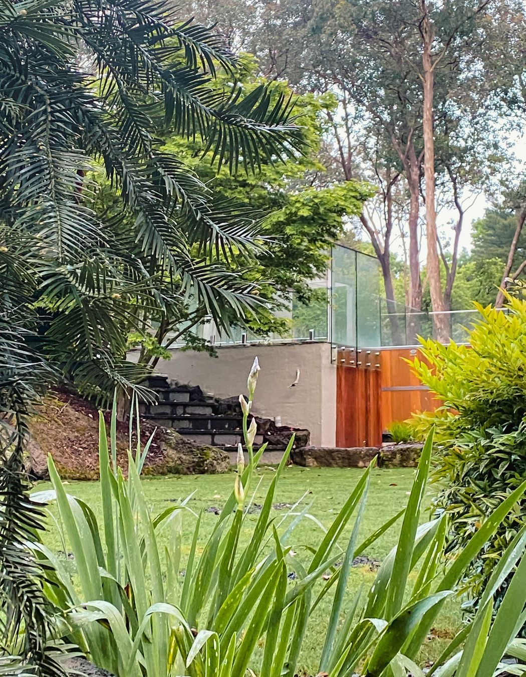 Smedley Rd, Park Orchards