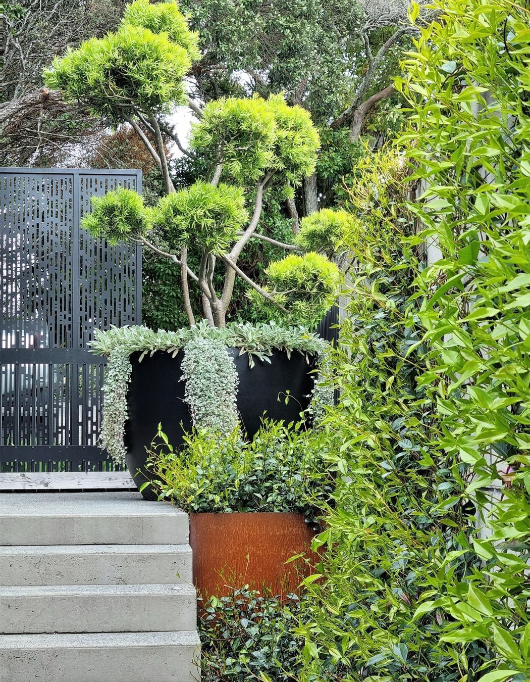 Birkenhead Point Garden