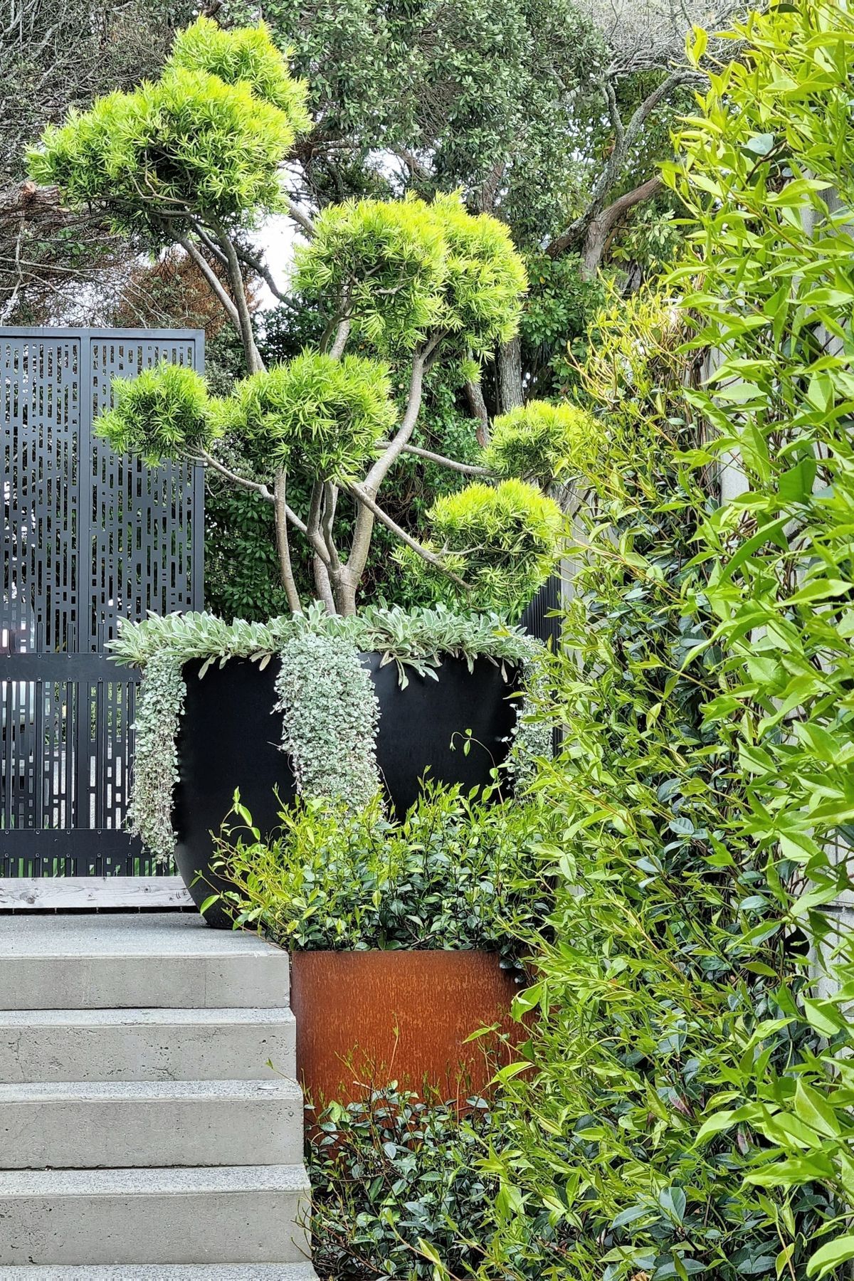Birkenhead Point Garden