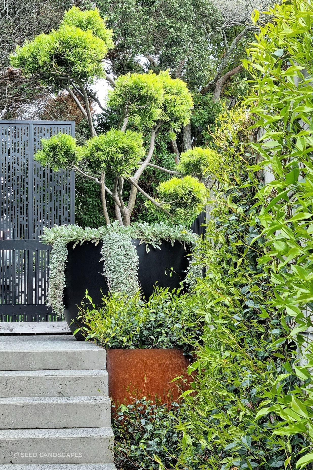 Birkenhead Point Garden