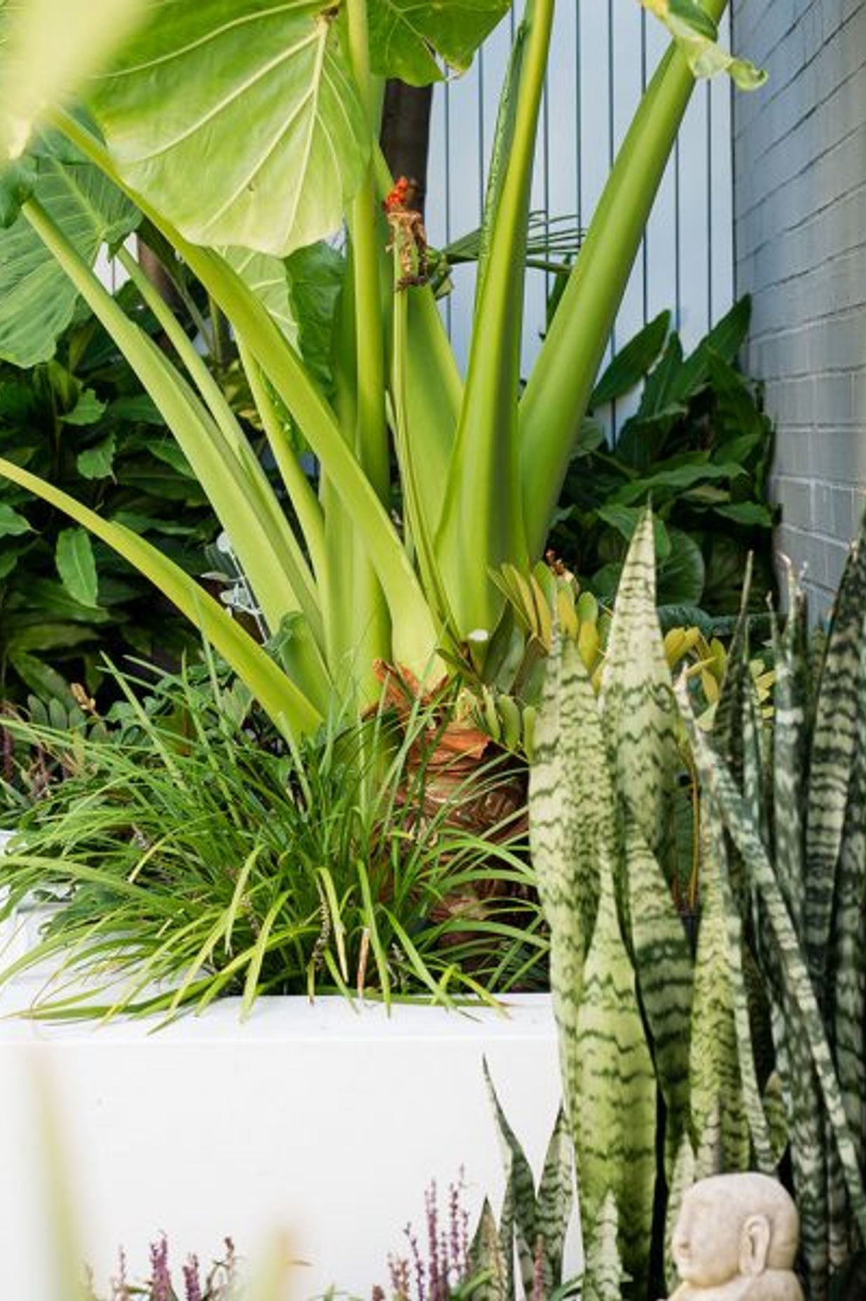 South Coogee Project