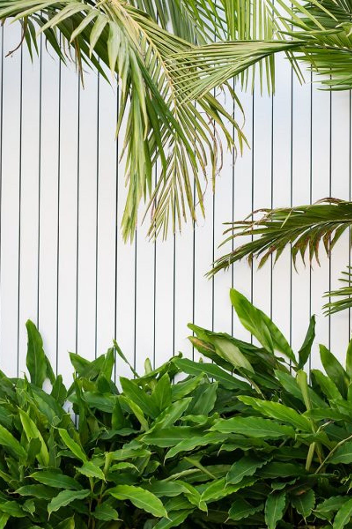 South Coogee Project