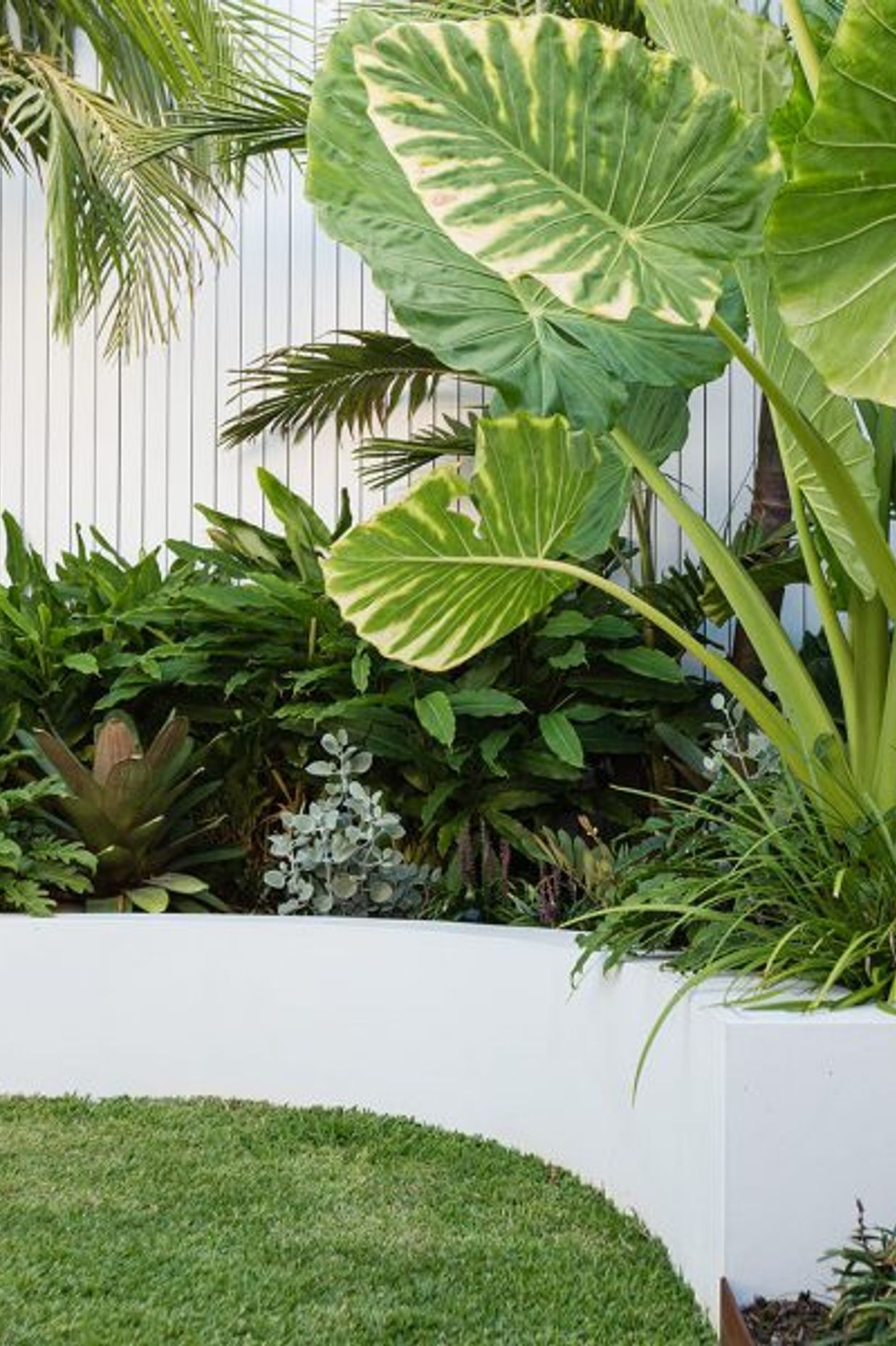 South Coogee Project