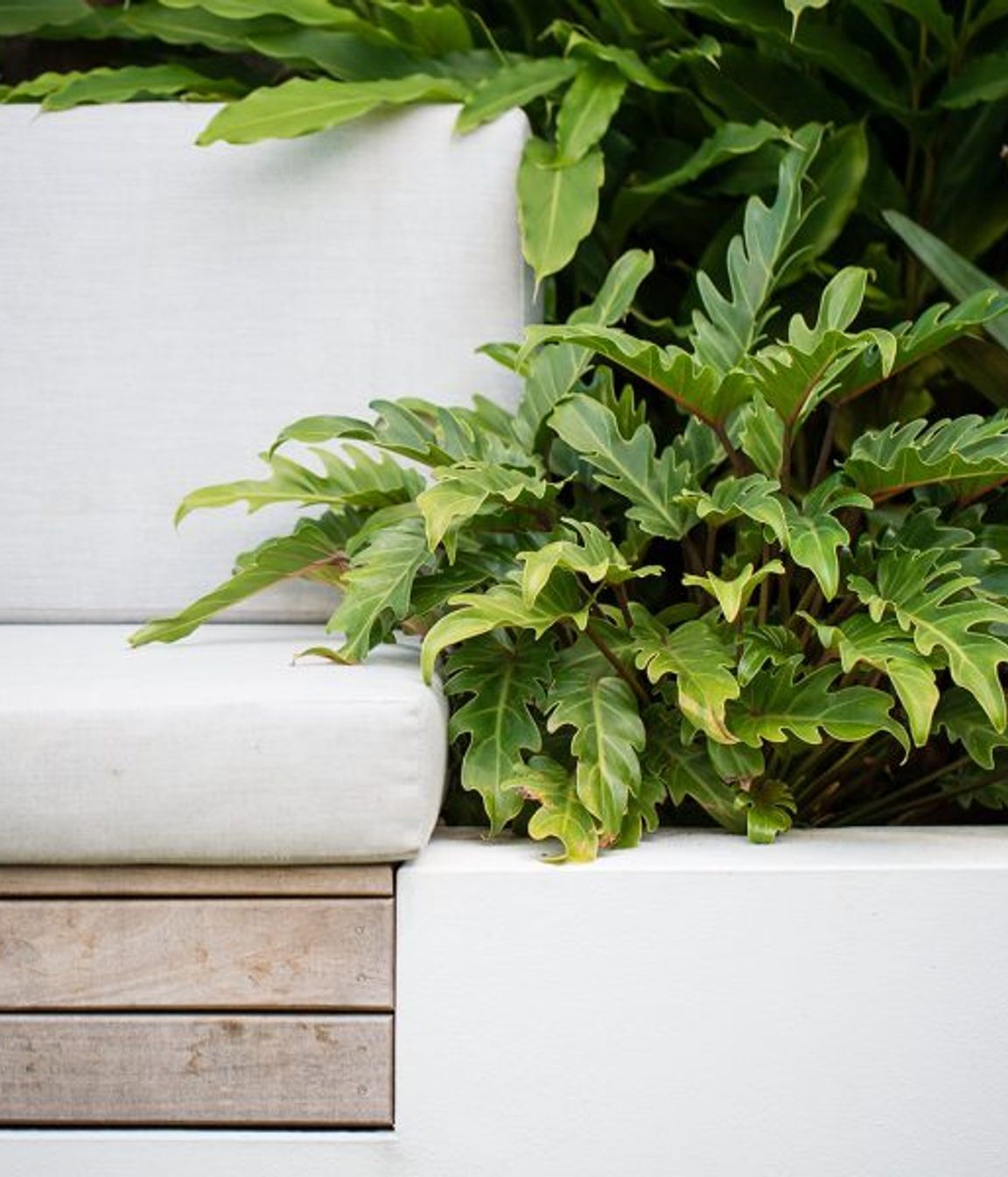 South Coogee Project