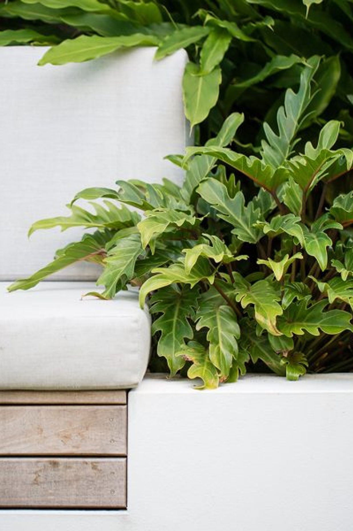 South Coogee Project