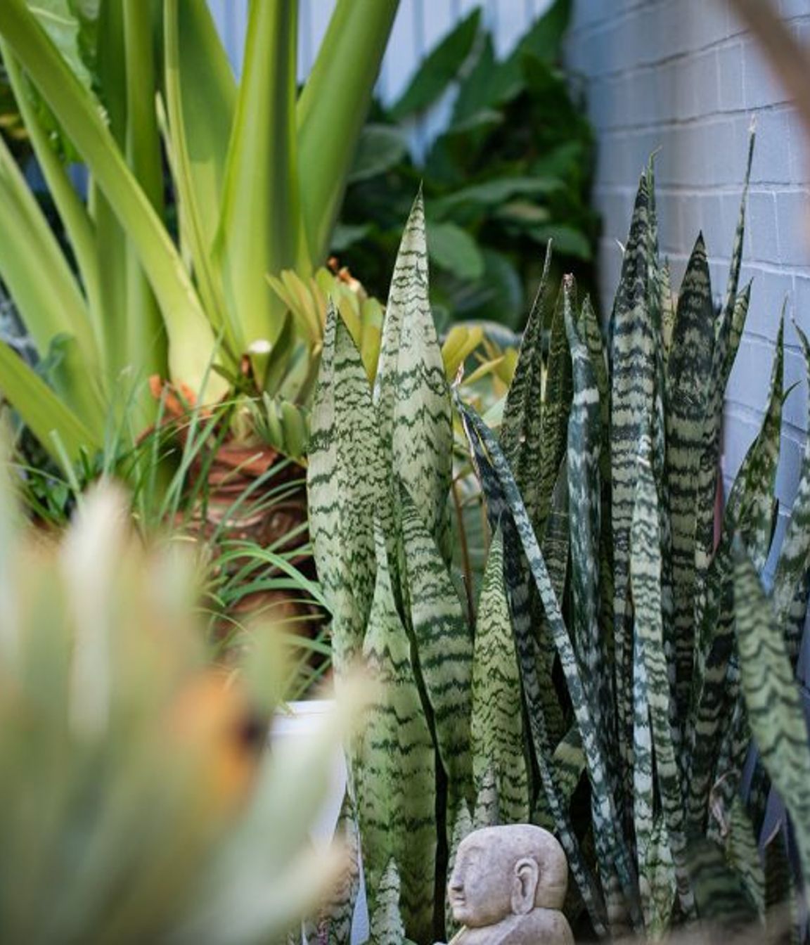 South Coogee Project