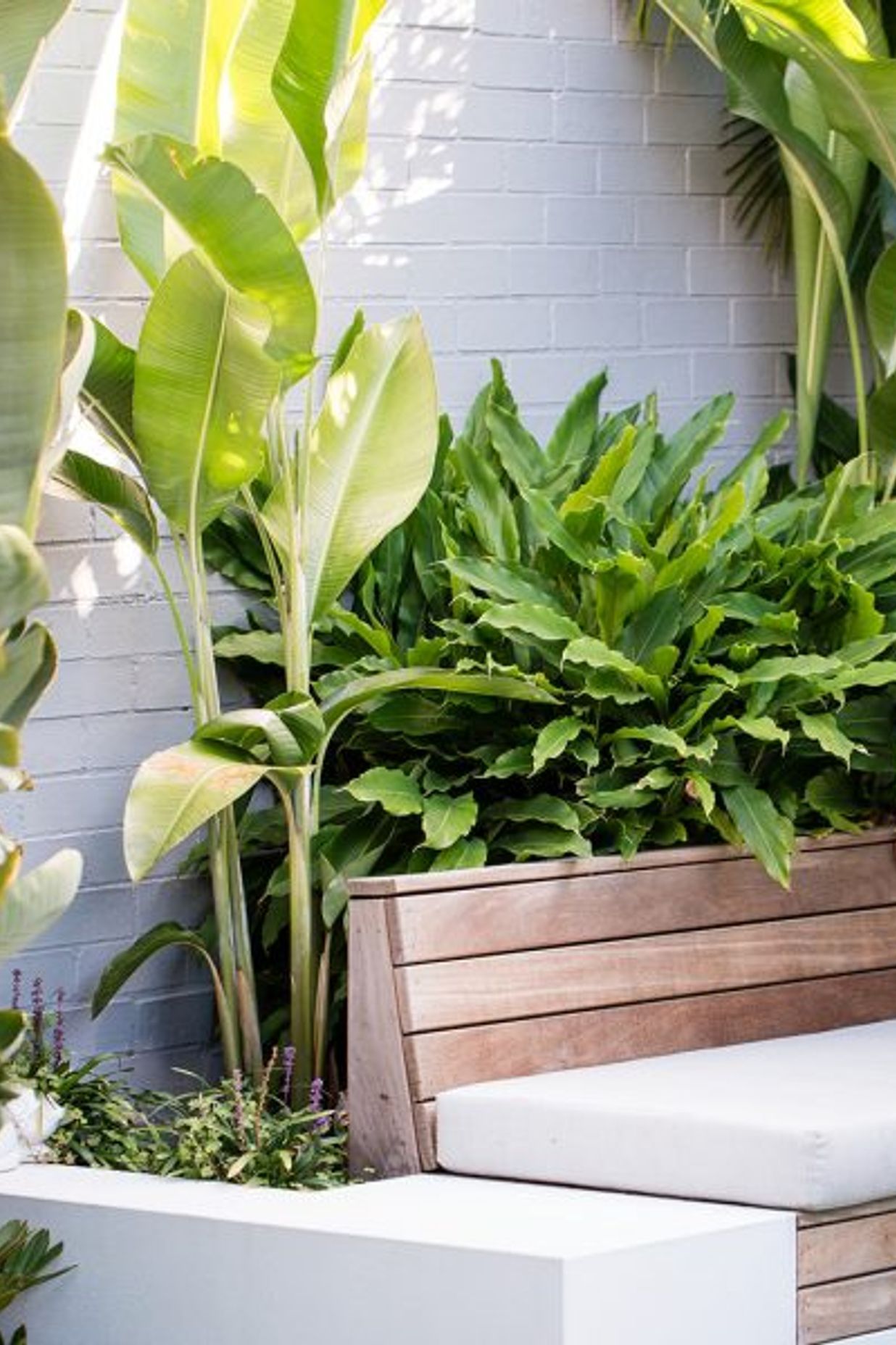 South Coogee Project