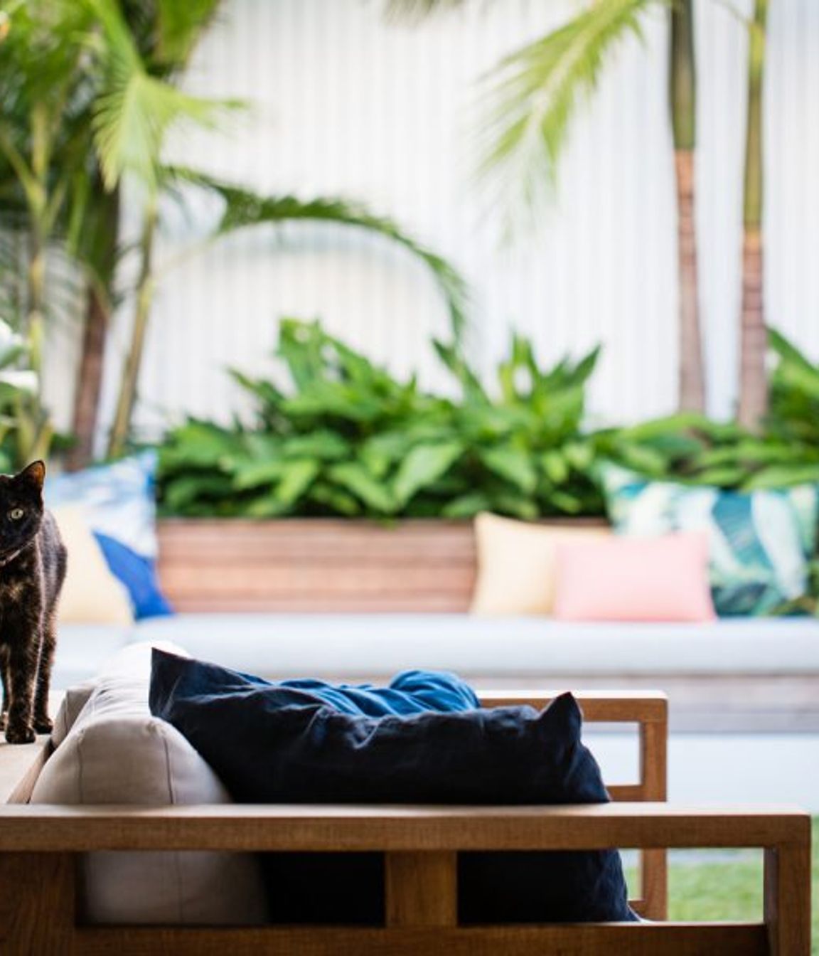 South Coogee Project