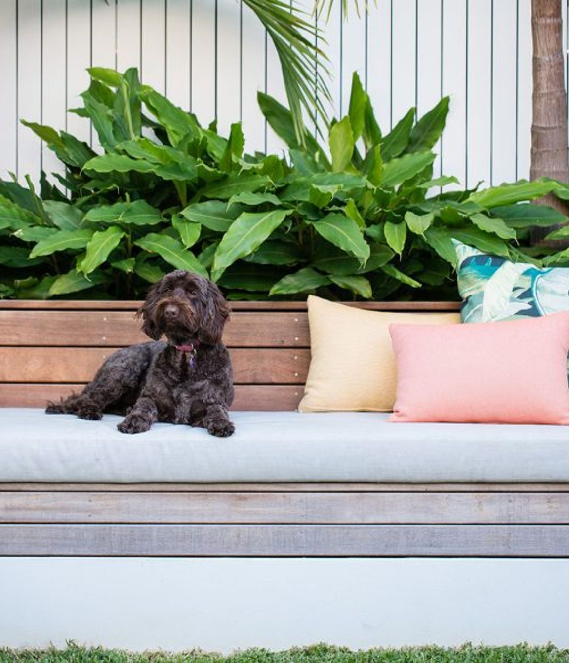 South Coogee Project