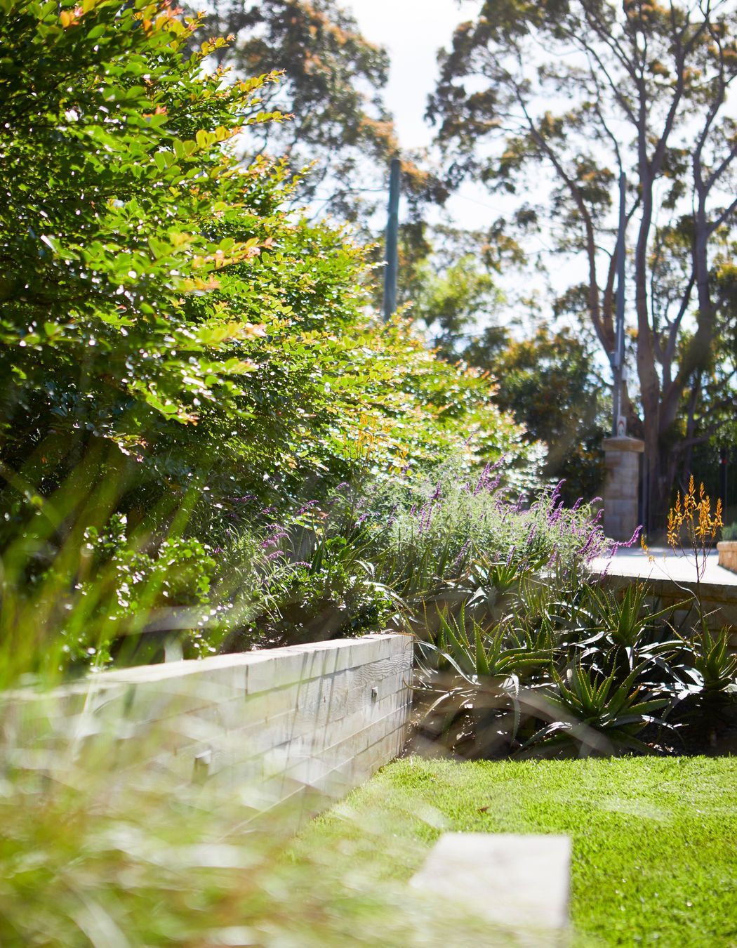 Kenthurst