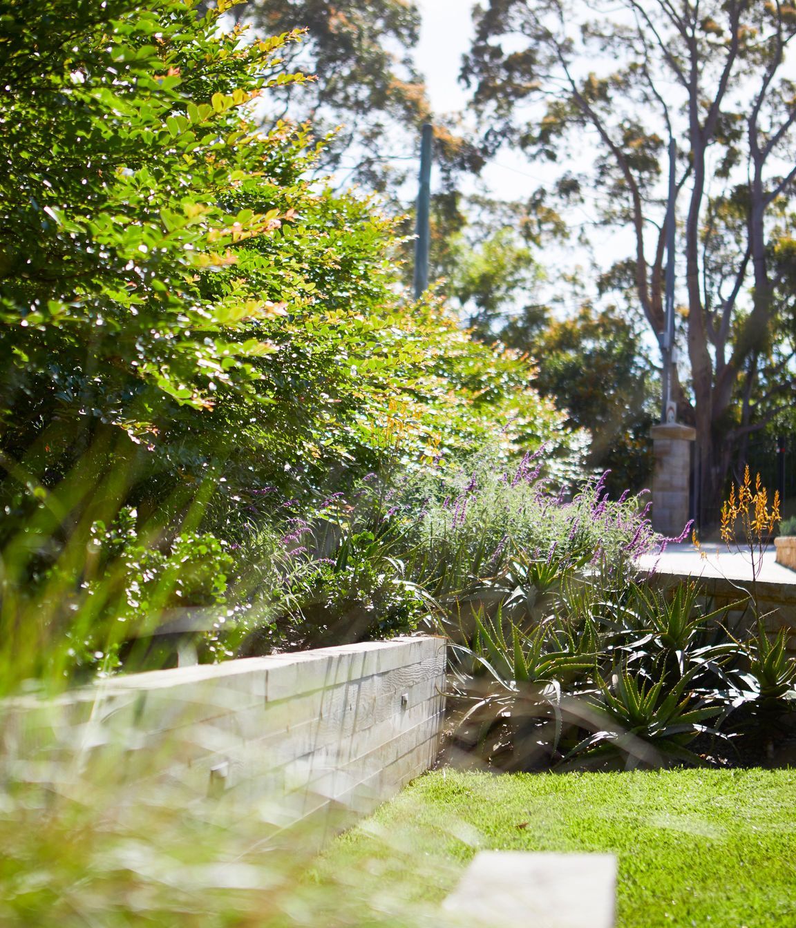 Kenthurst