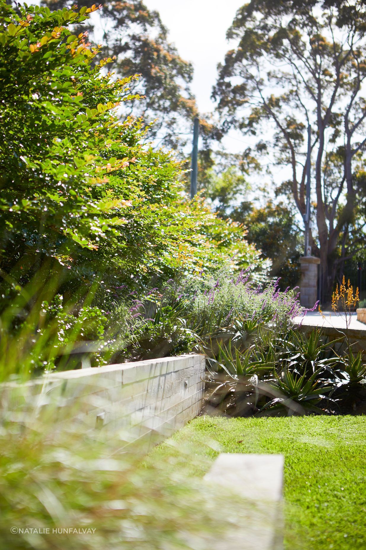 Kenthurst