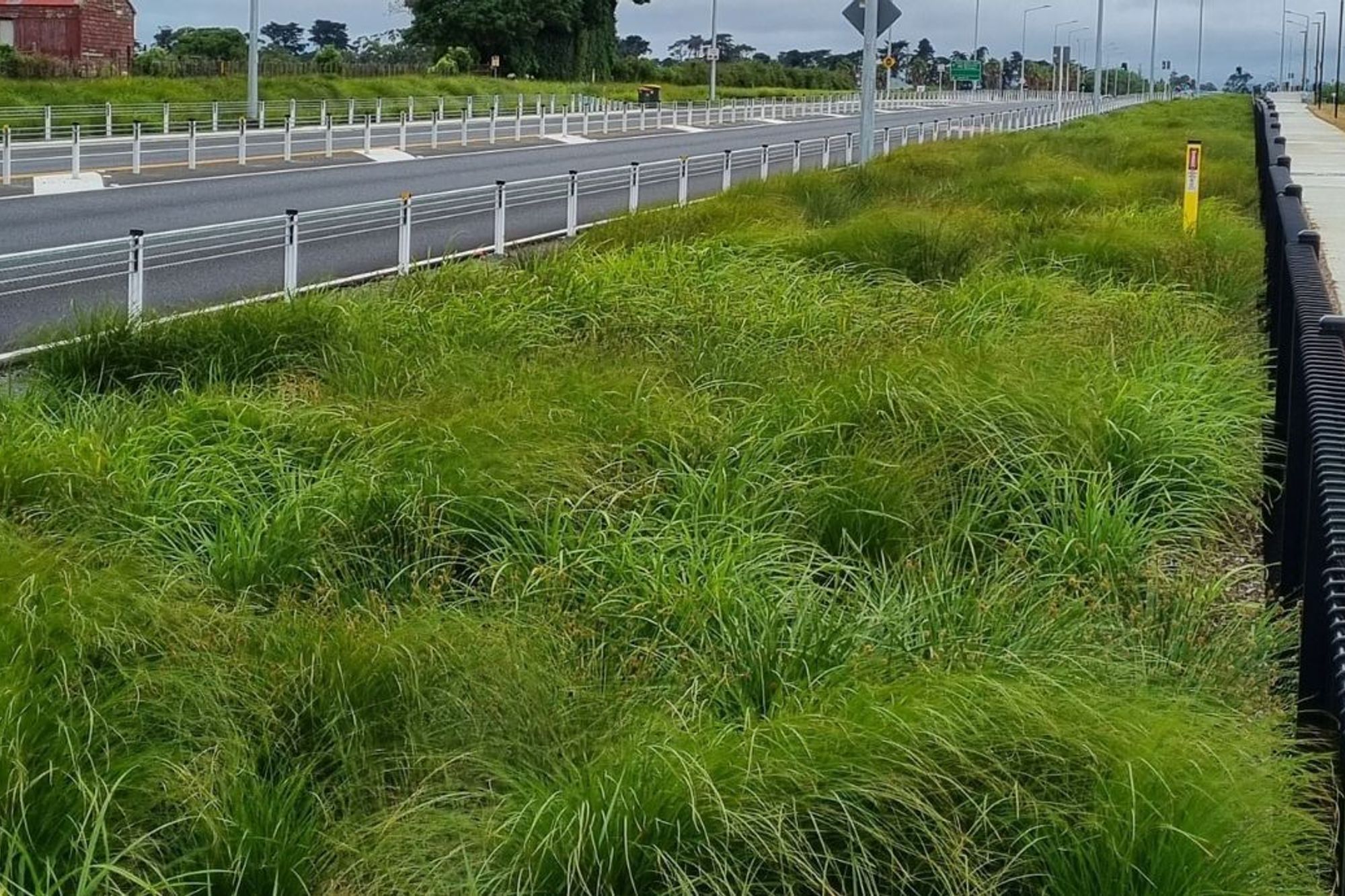 State Highway 20B