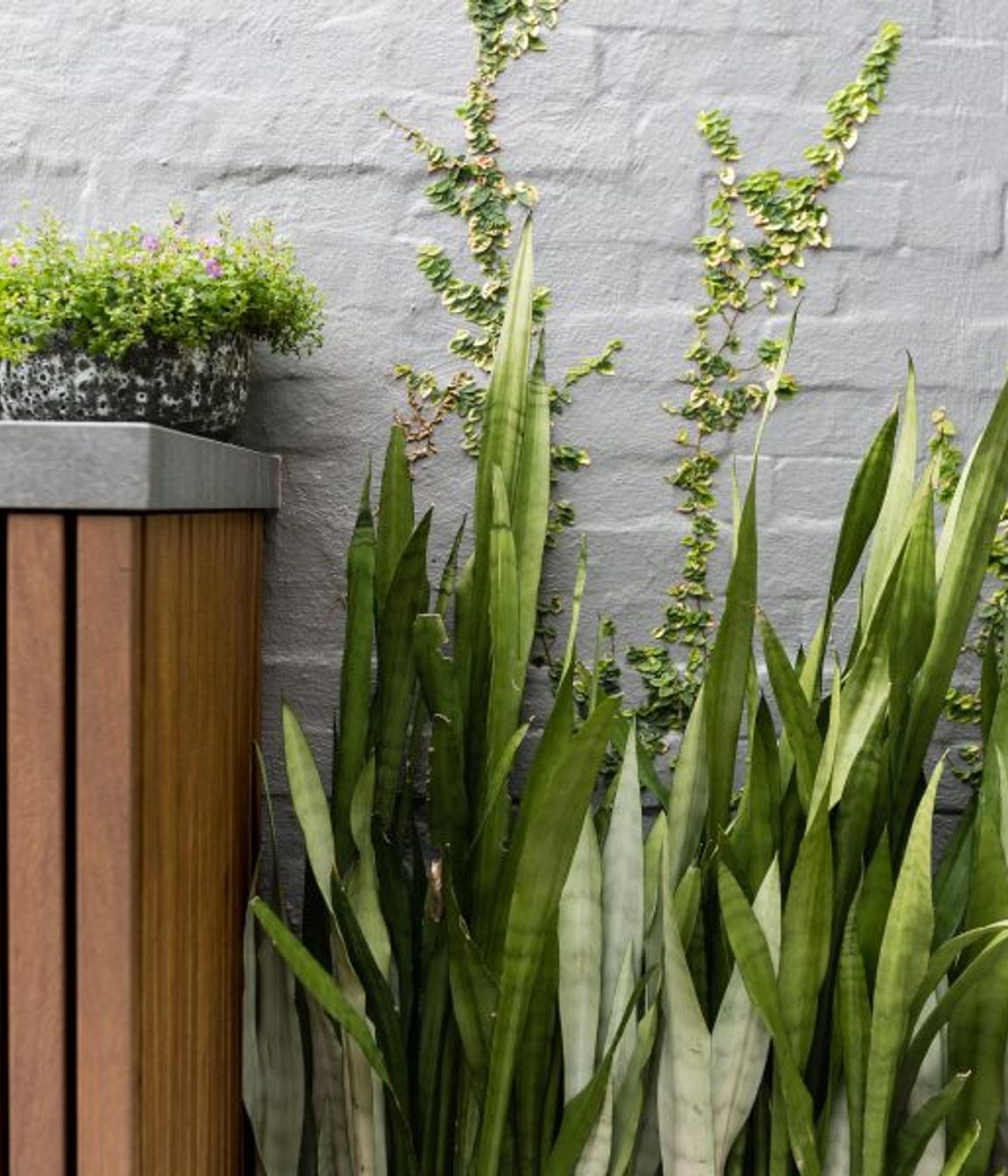^^Woollahra