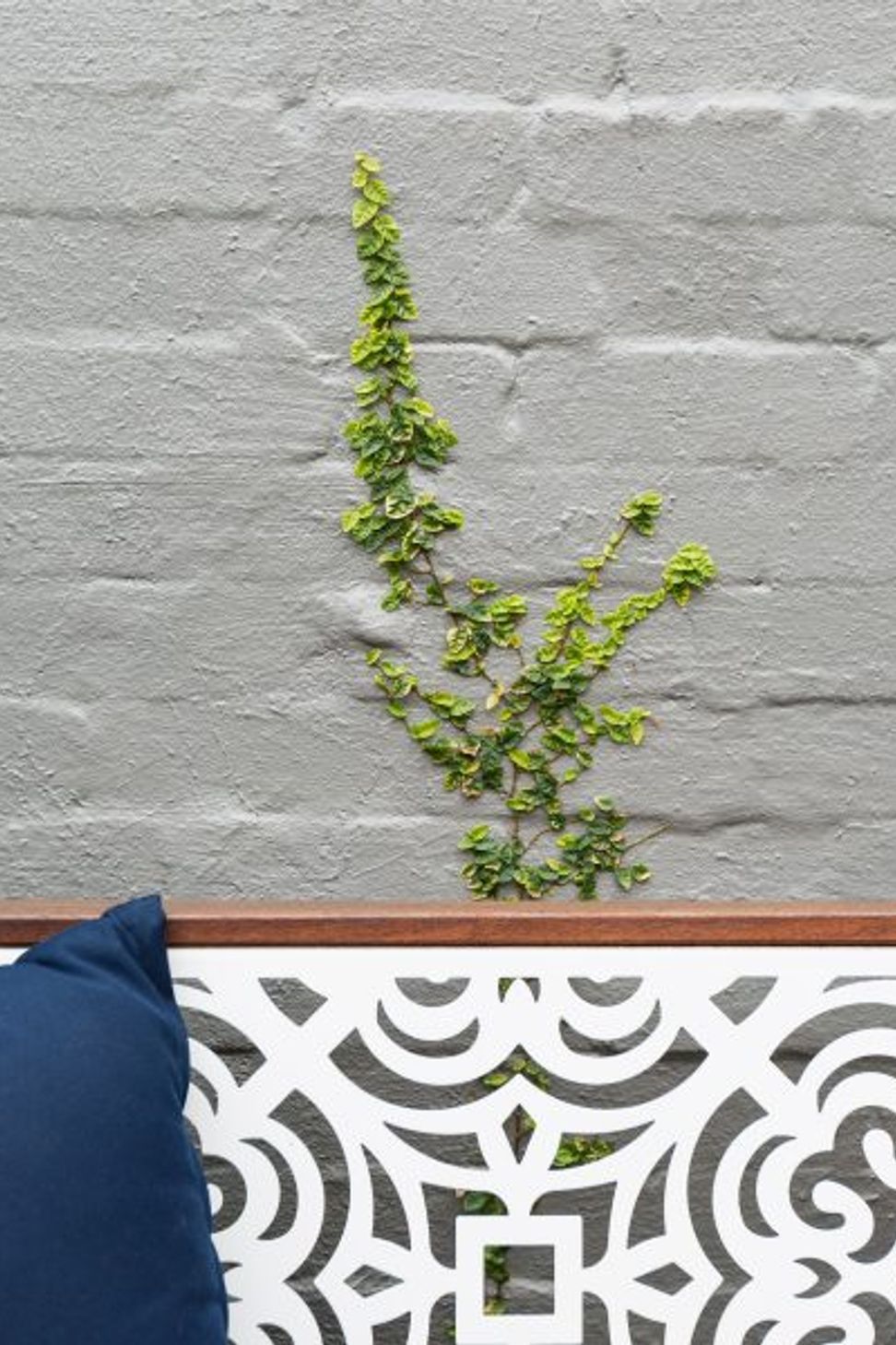 ^^Woollahra