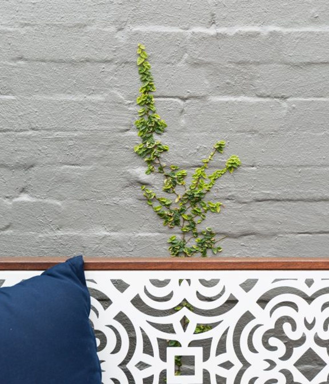 ^^Woollahra