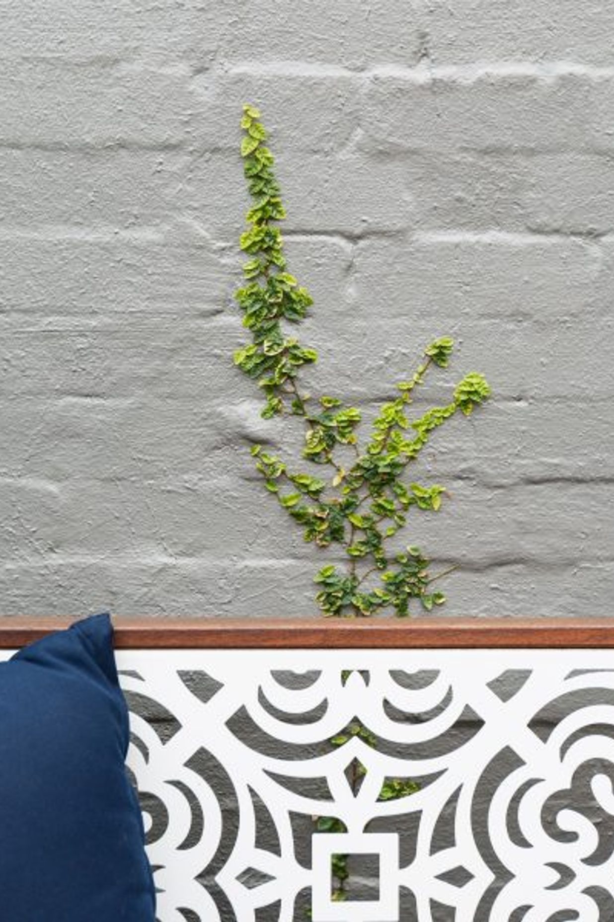 ^^Woollahra