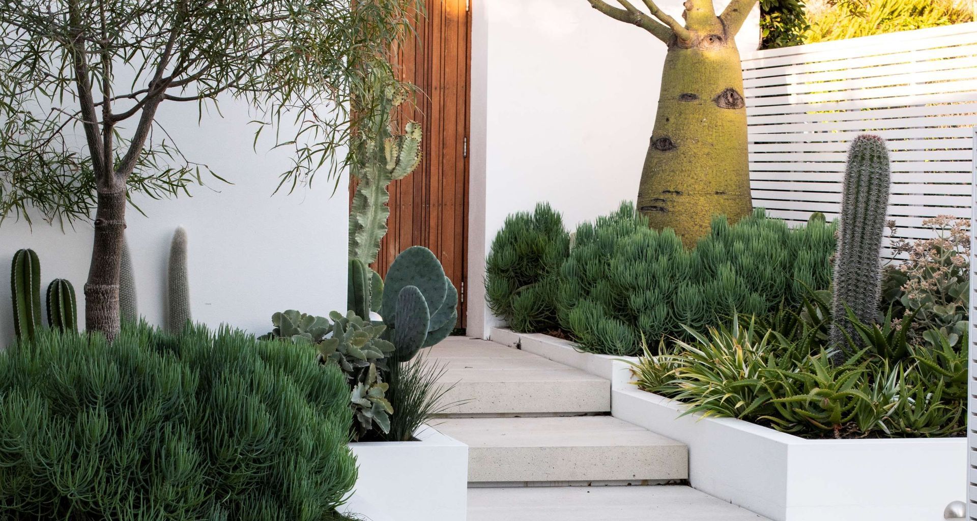 The Succulent Garden banner