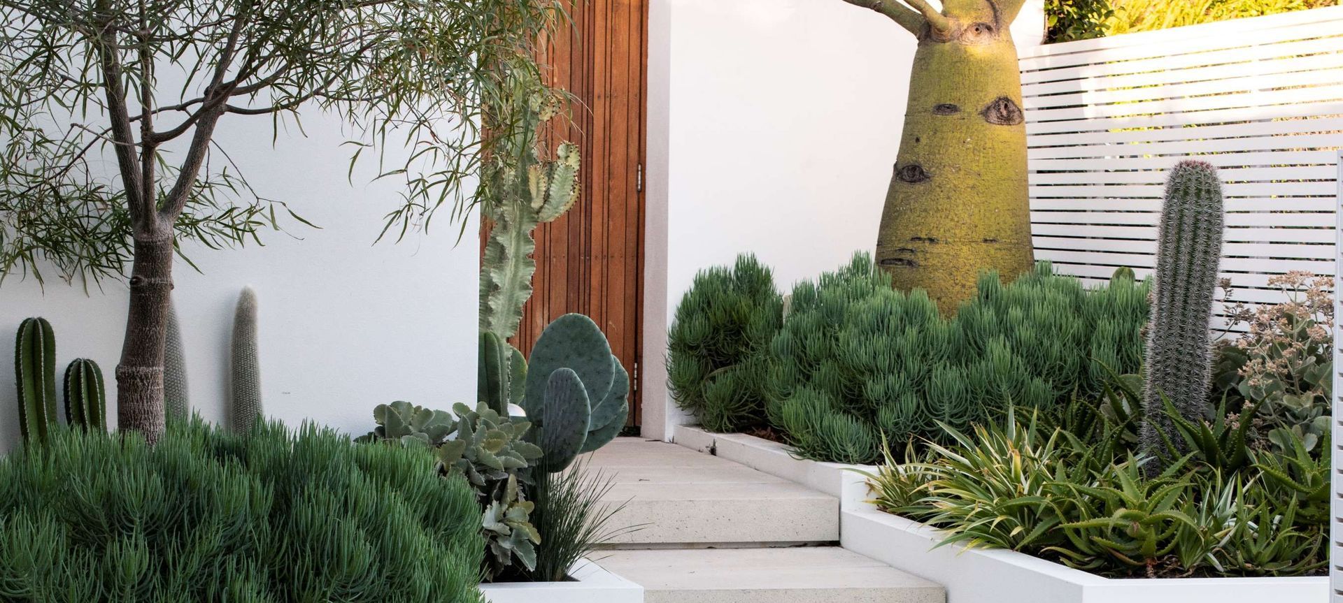 The Succulent Garden banner