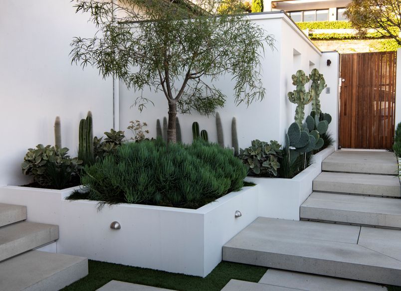 The Succulent Garden