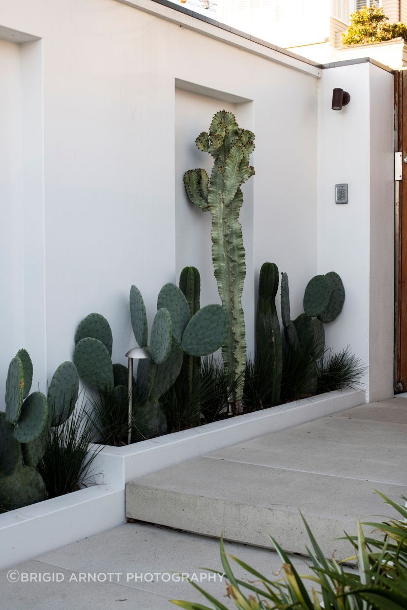 Supberba-Entrance-Courtyard-8-v6.JPG